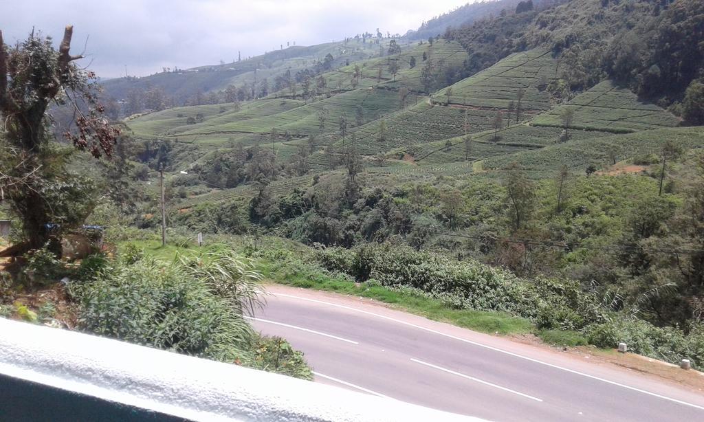 Cool Mount Guest Appartement Nuwara Eliya Buitenkant foto